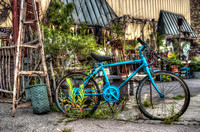 The Blue Bike