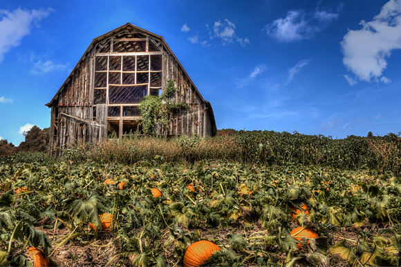Pumpkin Barn II